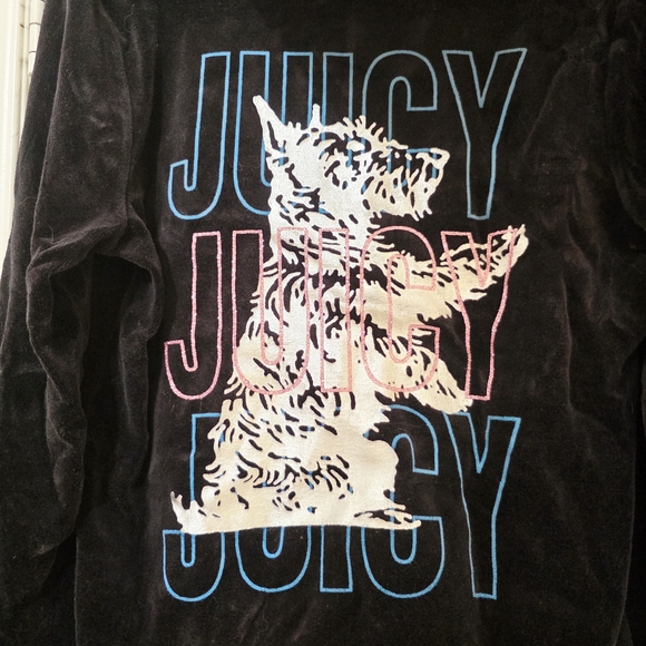NWT XL Juicy Couture Black Pink Velour Zip-Up Hoodie Jacket Sparkly Westie Dog - Picture 6 of 7